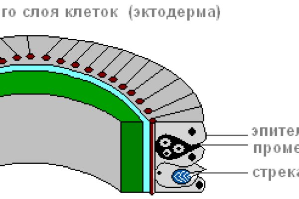 Кракен тг ссылка