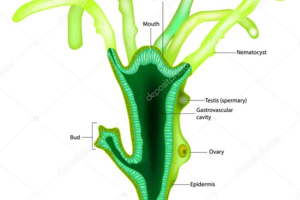 Кракен сайт 1kraken me официальный